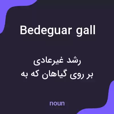 معنی bedeguar gall به فارسی