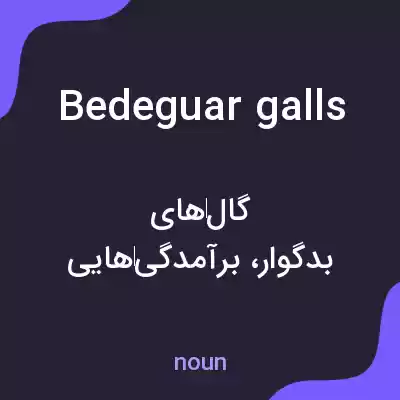 معنی bedeguar galls به فارسی معنی bedeguar galls به فارسی
