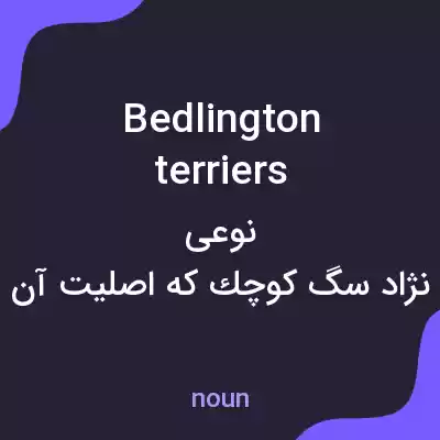 معنی bedlington terriers به فارسی معنی bedlington terriers به فارسی