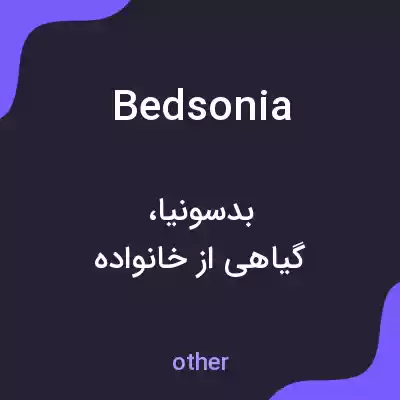 معنی bedsonia به فارسی معنی bedsonia به فارسی