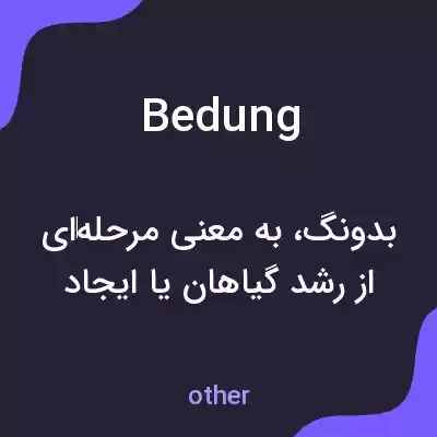 معنی bedung به فارسی معنی bedung به فارسی