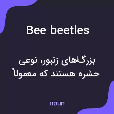 معنی bee beetles به فارسی معنی bee beetles به فارسی