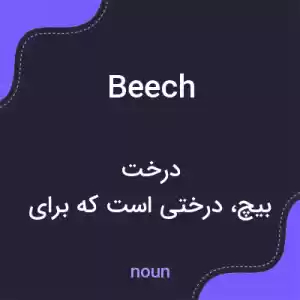 معنی beech به فارسی معنی beech به فارسی