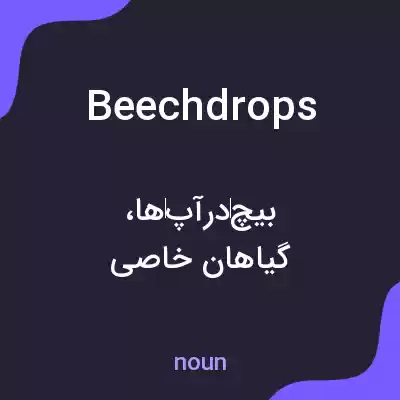 معنی beechdrops به فارسی معنی beechdrops به فارسی