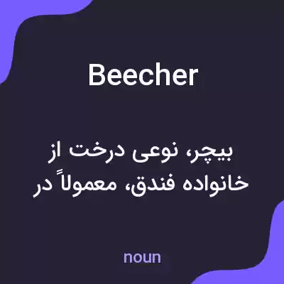 معنی beecher به فارسی معنی beecher به فارسی