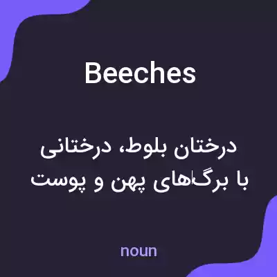 معنی beeches به فارسی معنی beeches به فارسی