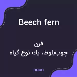 معنی beech fern به فارسی معنی beech fern به فارسی