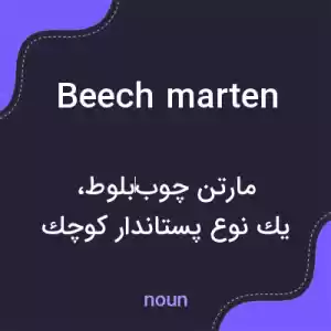 معنی beech marten به فارسی معنی beech marten به فارسی