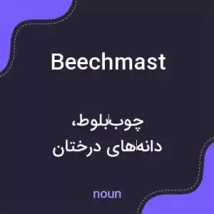 معنی beechmast به فارسی معنی beechmast به فارسی