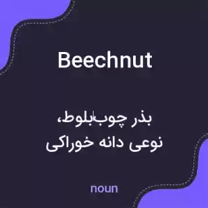 معنی beechnut به فارسی معنی beechnut به فارسی