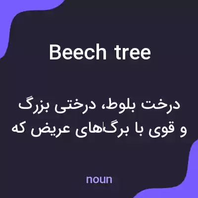 معنی beech tree به فارسی معنی beech tree به فارسی