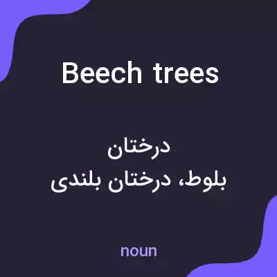 معنی beech trees به فارسی معنی beech trees به فارسی