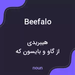 معنی beefalo به فارسی معنی beefalo به فارسی