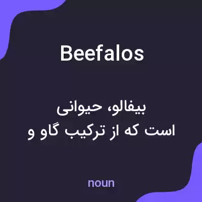 معنی beefalos به فارسی معنی beefalos به فارسی