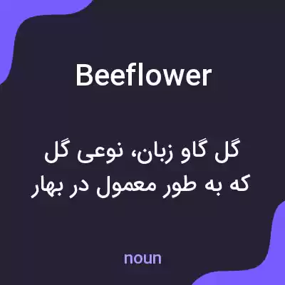 معنی beeflower به فارسی معنی beeflower به فارسی