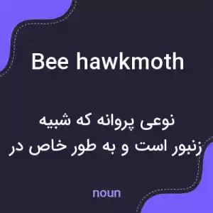 معنی bee hawkmoth به فارسی معنی bee hawkmoth به فارسی