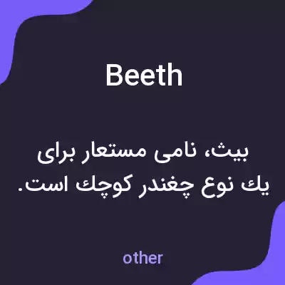 معنی beeth به فارسی معنی beeth به فارسی