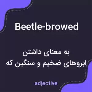 معنی beetle-browed به فارسی معنی beetle-browed به فارسی