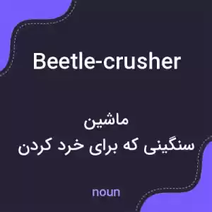 معنی beetle-crusher به فارسی