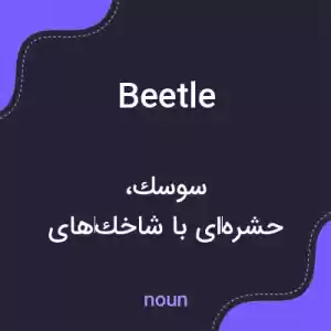 معنی beetle به فارسی معنی beetle به فارسی