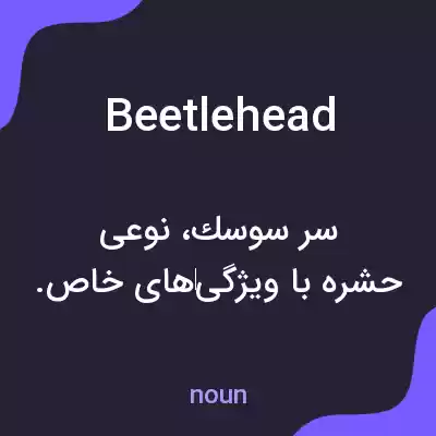 معنی beetlehead به فارسی معنی beetlehead به فارسی