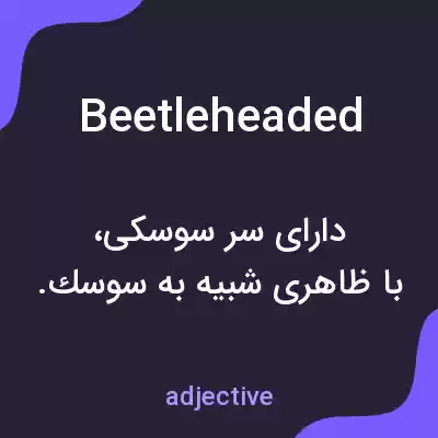 معنی beetleheaded به فارسی معنی beetleheaded به فارسی