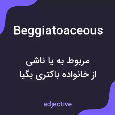 معنی beggiatoaceous به فارسی معنی beggiatoaceous به فارسی
