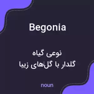 معنی begonia به فارسی معنی begonia به فارسی