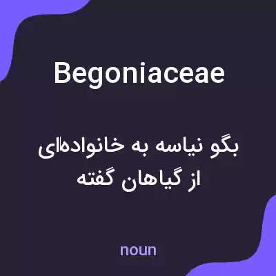 معنی begoniaceae به فارسی معنی begoniaceae به فارسی