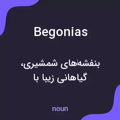 معنی begonias به فارسی معنی begonias به فارسی