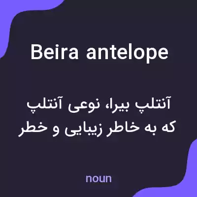 معنی beira antelope به فارسی