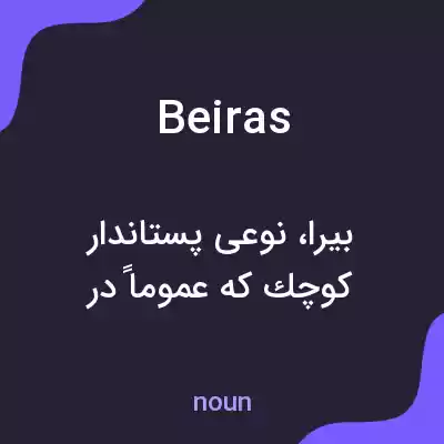 معنی beiras به فارسی معنی beiras به فارسی