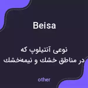 معنی beisa به فارسی معنی beisa به فارسی