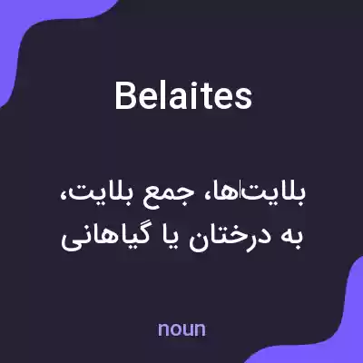 معنی belaites به فارسی معنی belaites به فارسی