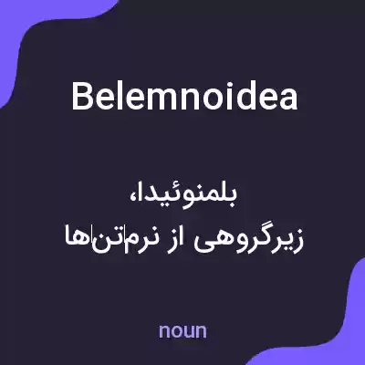 معنی belemnoidea به فارسی