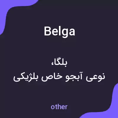 معنی belga به فارسی معنی belga به فارسی