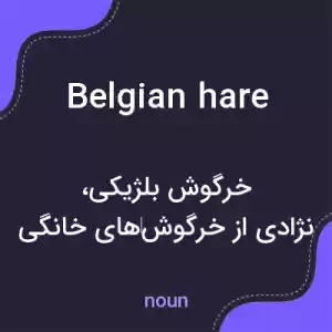 معنی belgian hare به فارسی معنی belgian hare به فارسی