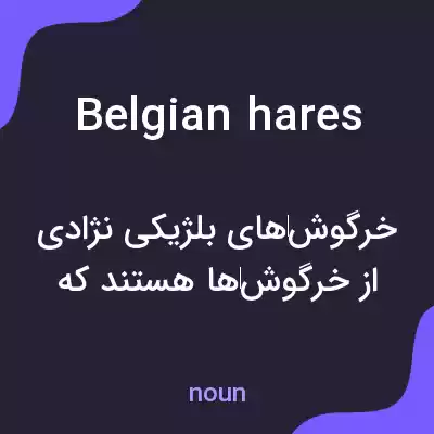 معنی belgian hares به فارسی معنی belgian hares به فارسی