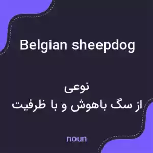 معنی belgian sheepdog به فارسی معنی belgian sheepdog به فارسی
