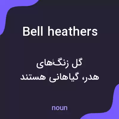 معنی bell heathers به فارسی معنی bell heathers به فارسی