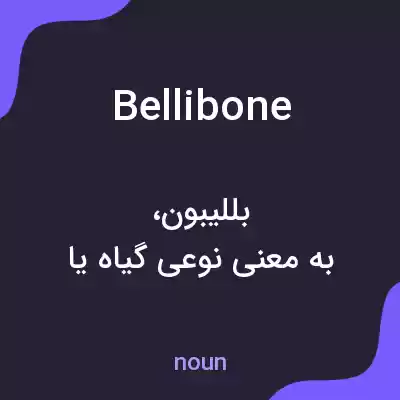 معنی bellibone به فارسی معنی bellibone به فارسی