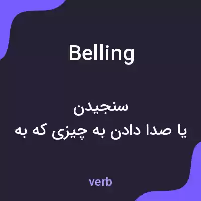 معنی belling به فارسی معنی belling به فارسی