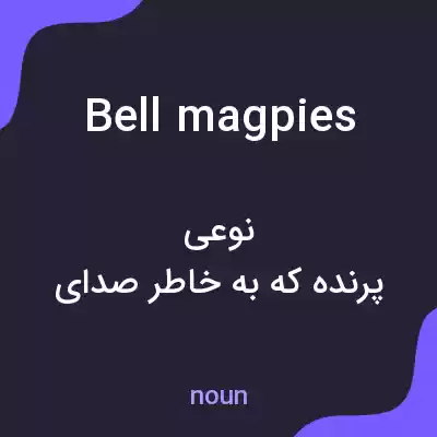 معنی bell magpies به فارسی