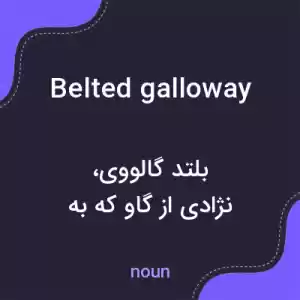 معنی belted galloway به فارسی