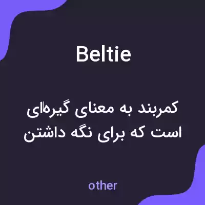 معنی beltie به فارسی معنی beltie به فارسی
