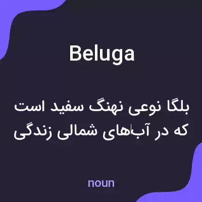 معنی beluga به فارسی معنی beluga به فارسی