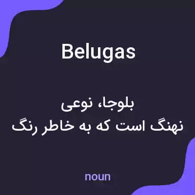 معنی belugas به فارسی معنی belugas به فارسی