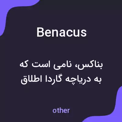 معنی benacus به فارسی معنی benacus به فارسی