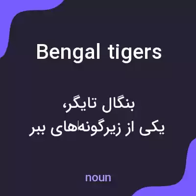 معنی bengal tigers به فارسی