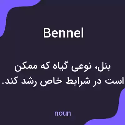 معنی bennel به فارسی معنی bennel به فارسی